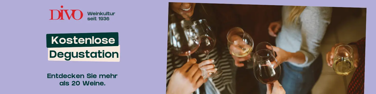 Kostenlose Verkostungen